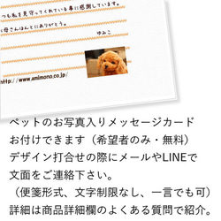 タペストリー ニット 編物 ペット オーダー オリジナル 愛犬 愛猫 インテリア 誕生日 プレゼント 14枚目の画像