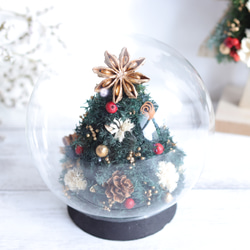 ☆ 超早割クリスマス2025☆早割クリスマス2025☆クリスマスツリーの