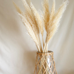 21d003ea44d145c730ba4ad008ef58