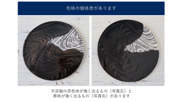 パスタ皿　カレー皿　【月華】　瀬戸焼　 4枚目の画像