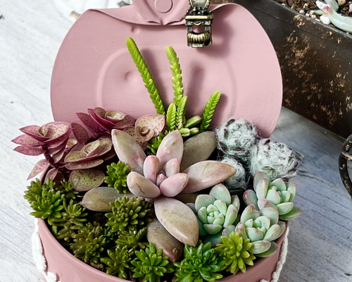 46b3e0a30349f16ba46a2cdc49f063