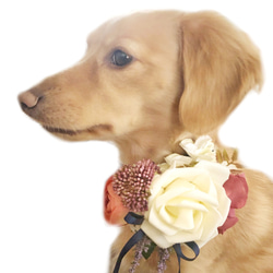 白バラブーケ チョーカー ネックドレス 小型犬 ペット アクセサリー ウエディング お祝い おしゃれ 飾り 1枚目の画像