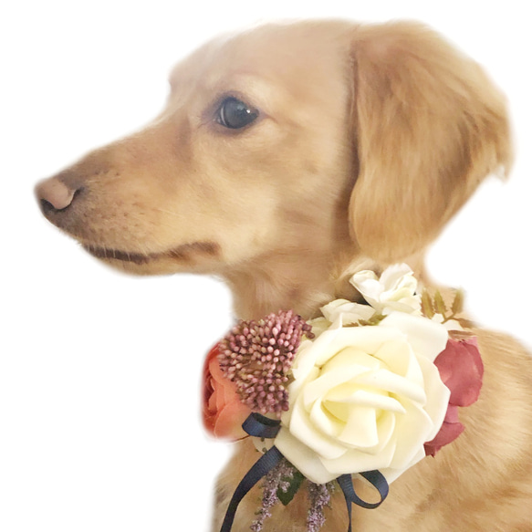 白バラブーケ チョーカー ネックドレス 小型犬 ペット アクセサリー ウエディング お祝い おしゃれ 飾り 4枚目の画像
