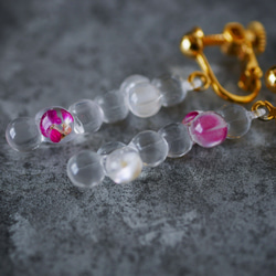 泡泡耳環/乾花和淡水珍珠 (E483) 第6張的照片