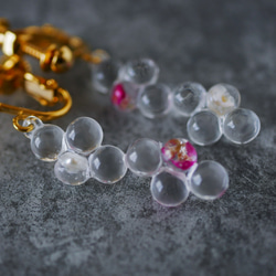 泡泡耳環/乾花和淡水珍珠 (E483) 第5張的照片