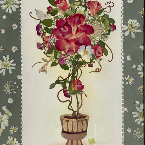 バラの押し花🌹 #pressedflowers #pressedflowerart #押し花