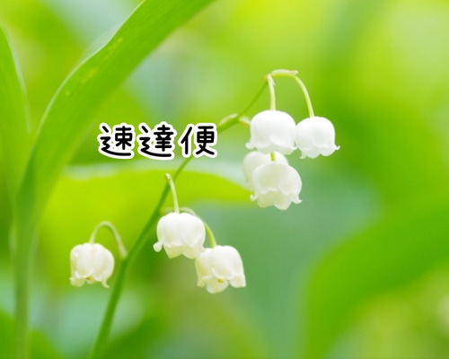 ❤︎速達便❤︎ その他マスク maman5 通販 14896950｜Creema