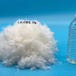 【少数 在庫限り　値下げしました 】大きめ!!  リアルダウン使用‼︎ 羽毛クッションベッドセット　ペットベッド 13枚目の画像