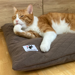 【少数 在庫限り　値下げしました 】大きめ!!  リアルダウン使用‼︎ 羽毛クッションベッドセット　ペットベッド 2枚目の画像