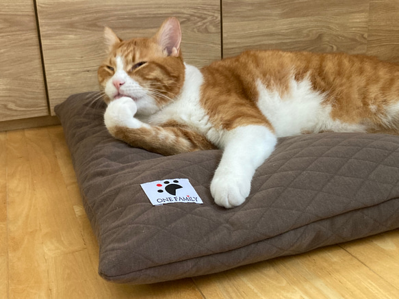 【少数 在庫限り　値下げしました 】大きめ!!  リアルダウン使用‼︎ 羽毛クッションベッドセット　ペットベッド 2枚目の画像