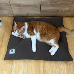 【少数 在庫限り　値下げしました 】大きめ!!  リアルダウン使用‼︎ 羽毛クッションベッドセット　ペットベッド 4枚目の画像