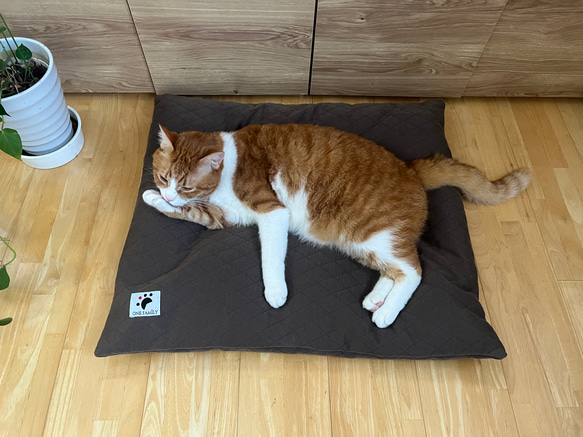 【少数 在庫限り　値下げしました 】大きめ!!  リアルダウン使用‼︎ 羽毛クッションベッドセット　ペットベッド 4枚目の画像