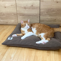 【少数 在庫限り　値下げしました 】大きめ!!  リアルダウン使用‼︎ 羽毛クッションベッドセット　ペットベッド 3枚目の画像