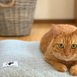 【少数 在庫限り　値下げしました 】大きめ!!  リアルダウン使用‼︎ 羽毛クッションベッドセット　ペットベッド 5枚目の画像