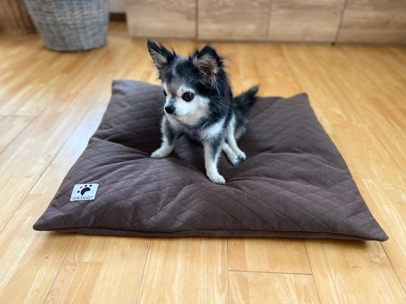 【少数 在庫限り　値下げしました 】大きめ!!  リアルダウン使用‼︎ 羽毛クッションベッドセット　ペットベッド 1枚目の画像