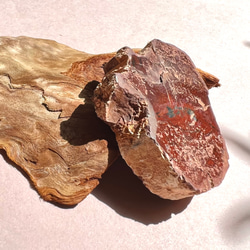 珪化木（ペトリファイドウッド）typeA 6枚目の画像