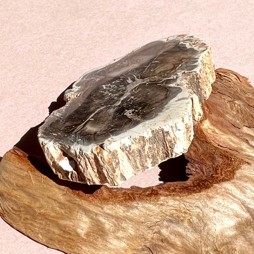 珪化木（ペトリファイドウッド）typeC 天然石 はな's works 通販