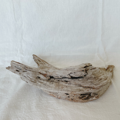 インテリア 流木 オブジェ 置物 エアプランツ その他インテリア雑貨