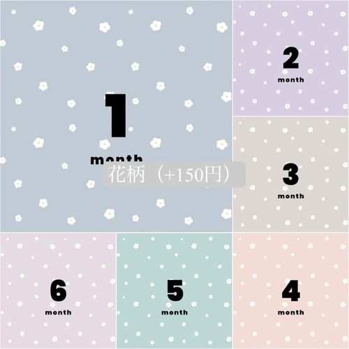 人気No1】マンスリーカード 月齢カード マンスリーフォト 15枚 まし