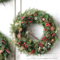 受注制作森の雰囲気リース 受注制作森の雰囲気リース クリスマス新作☆森のリース 20cm（受注制
