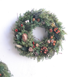 受注制作森の雰囲気リース 受注制作森の雰囲気リース 受注制作】森の三日月リース ボタニカルな