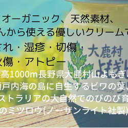 薬用万能 無農薬 よもぎ ビワ クリーム 40ml 4枚目の画像