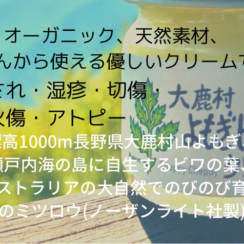 ≪ 薬用万能 無農薬 よもぎ ビワ クリーム 40ml ≫ その他雑貨 ≪ 薬用万能 無農薬 よもぎ ビワ クリーム 40ml ≫ その他雑貨