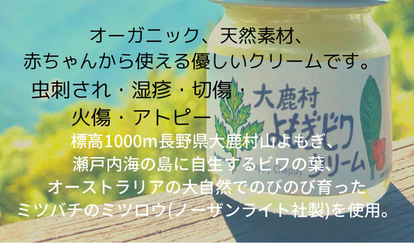 ≪ 薬用万能 無農薬 よもぎ　ビワ クリーム 40ml ≫ 4枚目の画像