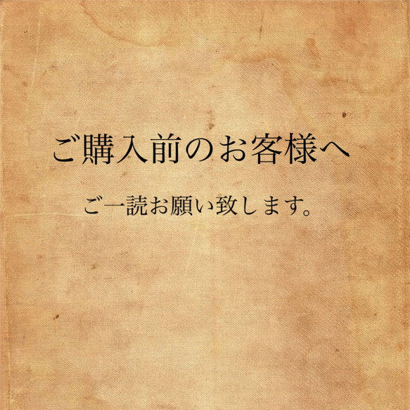 【ご購入時の注意点】一読お願い致します。 1枚目の画像