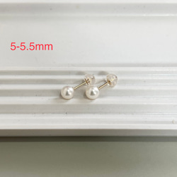 【正品珍珠】K10 單顆珍珠耳環 5-5.5mm 小珍珠 Akoya 珍珠 K10YG/K10PG 第1張的照片