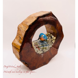 一つ限りの流木アート カワセミ ジオラマ 流木 フィギュア 置物 鳥 インテリア レジン テラリウム 水辺 N3 4枚目の画像