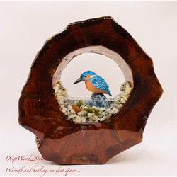 一つ限りの流木アート カワセミ ジオラマ 流木 フィギュア 置物 鳥 インテリア レジン テラリウム 水辺 N3 1枚目の画像