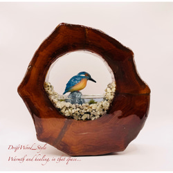 一つ限りの流木アート カワセミ ジオラマ 流木 フィギュア 置物 鳥 インテリア レジン テラリウム 水辺 N3 5枚目の画像