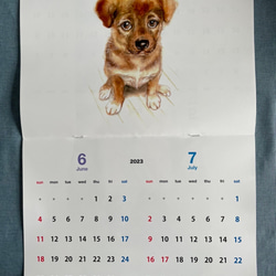 犬猫2023年カレンダー 5枚目の画像