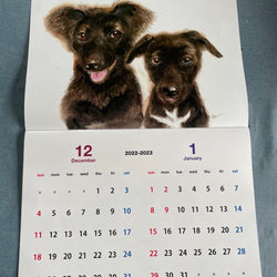 犬猫2023年カレンダー 2枚目の画像