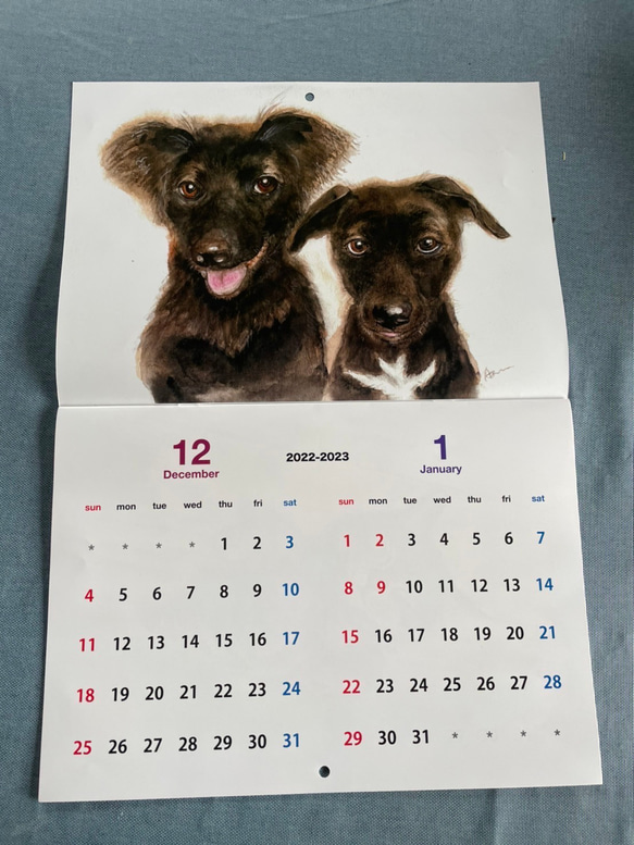 犬猫2023年カレンダー 2枚目の画像