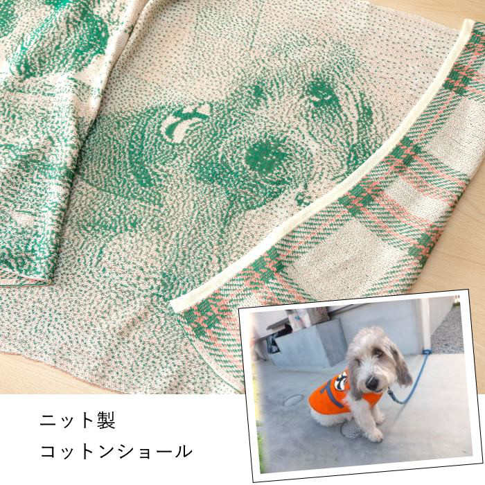 ペット 写真 メモリアル ストール ショール ブランケット コットン ニット 編み物 チェック柄 グリーン