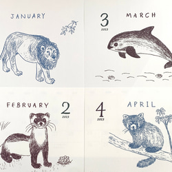 2023絶滅危惧種カレンダー　壁掛けタイプ（日曜始まりと月曜始まり選べます♪） 4枚目の画像