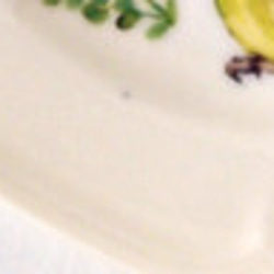 カカポのお皿（鳥 インコ オリジナル） 2枚目の画像