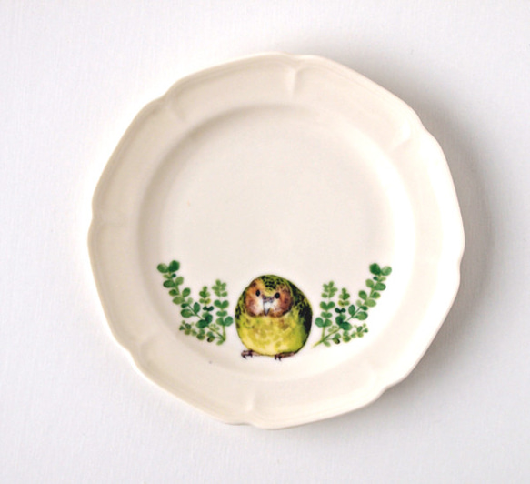 カカポのお皿（鳥 インコ オリジナル） 1枚目の画像