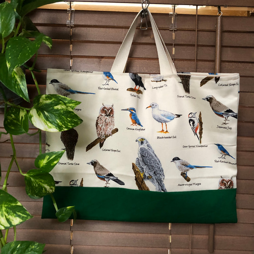 野鳥大好き！ 鳥図鑑 入園入学 レッスンバッグ 絵本バッグ 男の子