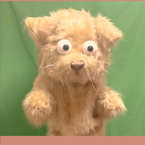 オーダーメイド着ぐるみについて ぬいぐるみ Puffy moffy 通販