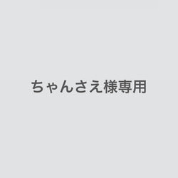 ちゃんさえ様専用 1枚目の画像