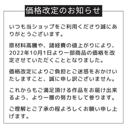 価格改定のお知らせ 2枚目の画像