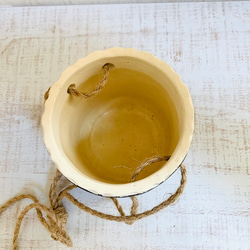 お洒落なハンギングリプサリス　ミクランサ　陶器のハンギングプランター　ブラック　4号サイズ　サボテン　観葉植物 5枚目の画像