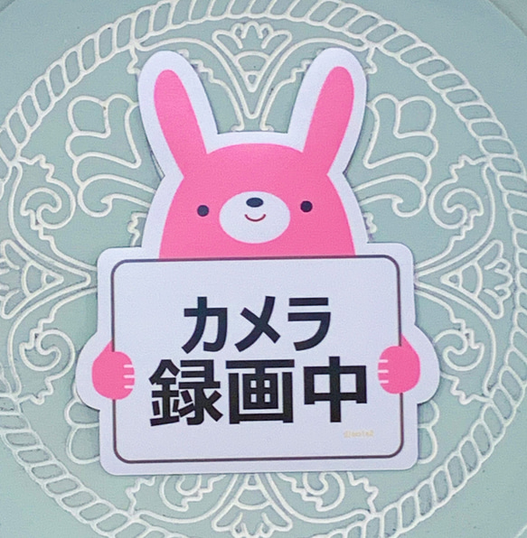 うさぎ ペットカメラ スイッチボット 304.かわいいうさぎさん