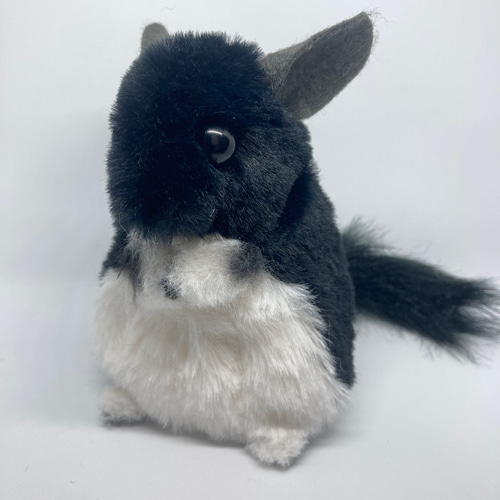 チンチラ ぬいぐるみ ブラックベルベット ぬいぐるみ POPPOR 通販