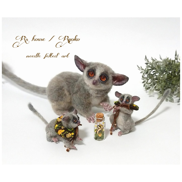 羊毛フェルト 人形『 ショウガラゴ ( Bushbaby ) / 手のひらサイズ ① 』 3枚目の画像