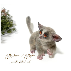 羊毛フェルト 人形『 ショウガラゴ ( Bushbaby ) / 手のひらサイズ ① 』 4枚目の画像