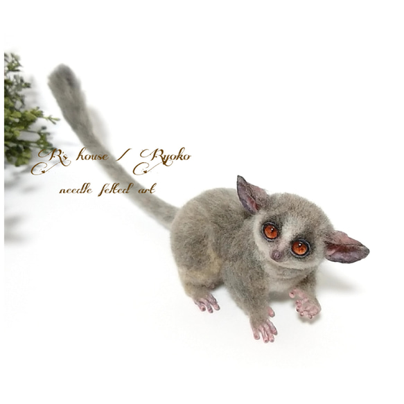 羊毛フェルト 人形『 ショウガラゴ ( Bushbaby ) / 手のひらサイズ ① 』 6枚目の画像